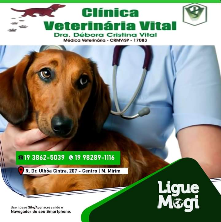 Capa Clinica Veterinária Vital - Mogi Mirim