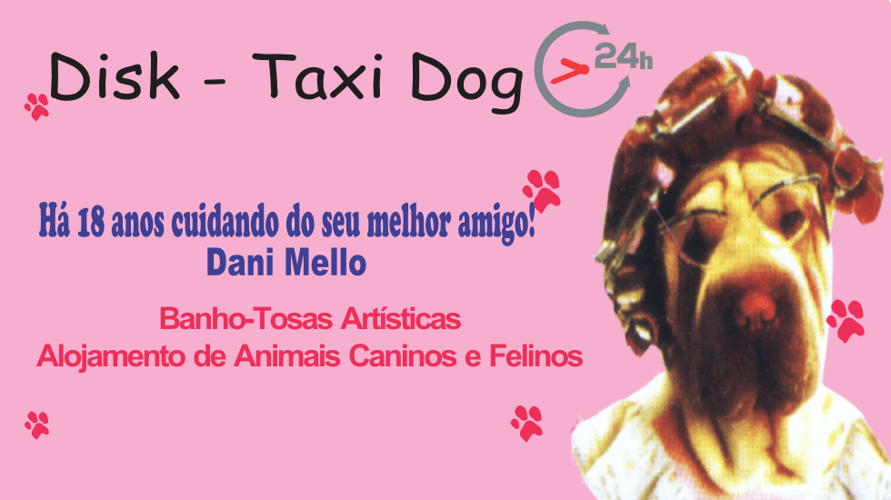 Capa Disk Taxi Dog