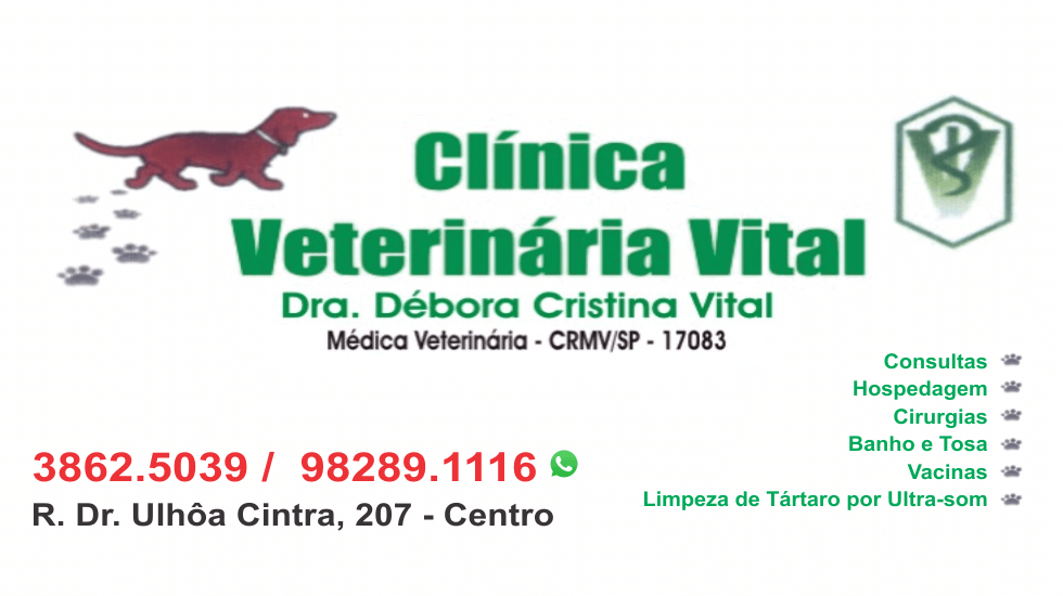Capa Dra. Débora Cristina Vital - Veterinária